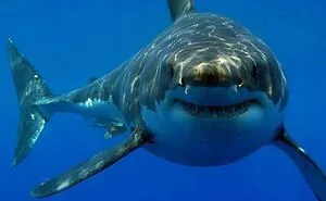 "71% Of The Earth's Surface Is Covered By Water", And These 50 Pics Of Deep Water Are Exactly The Reason Why That's Not Good