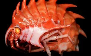 "71% Of The Earth's Surface Is Covered By Water", And These 50 Pics Of Deep Water Are Exactly The Reason Why That's Not Good