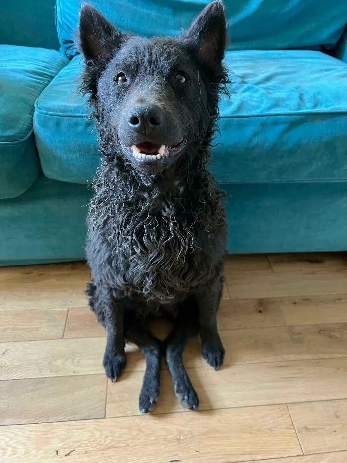 Seriously. This Is How He Sits. All. The. Time