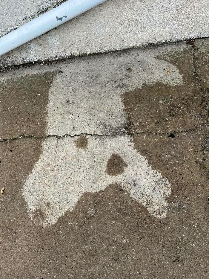 Hoy, se durmió bajo la lluvia