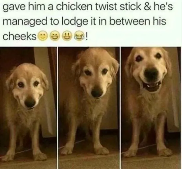 Yum