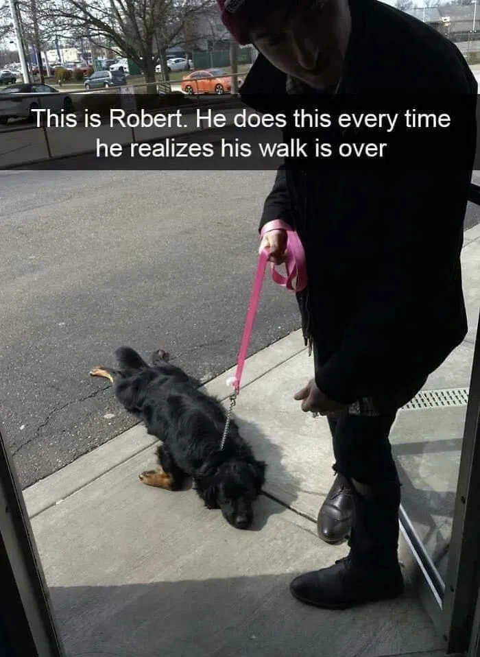 Same Bro