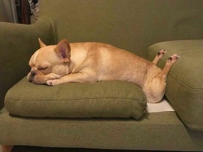 Chicken Legs