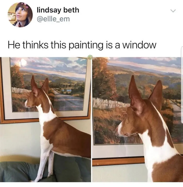 I Would Never Tell Him That It Isn't