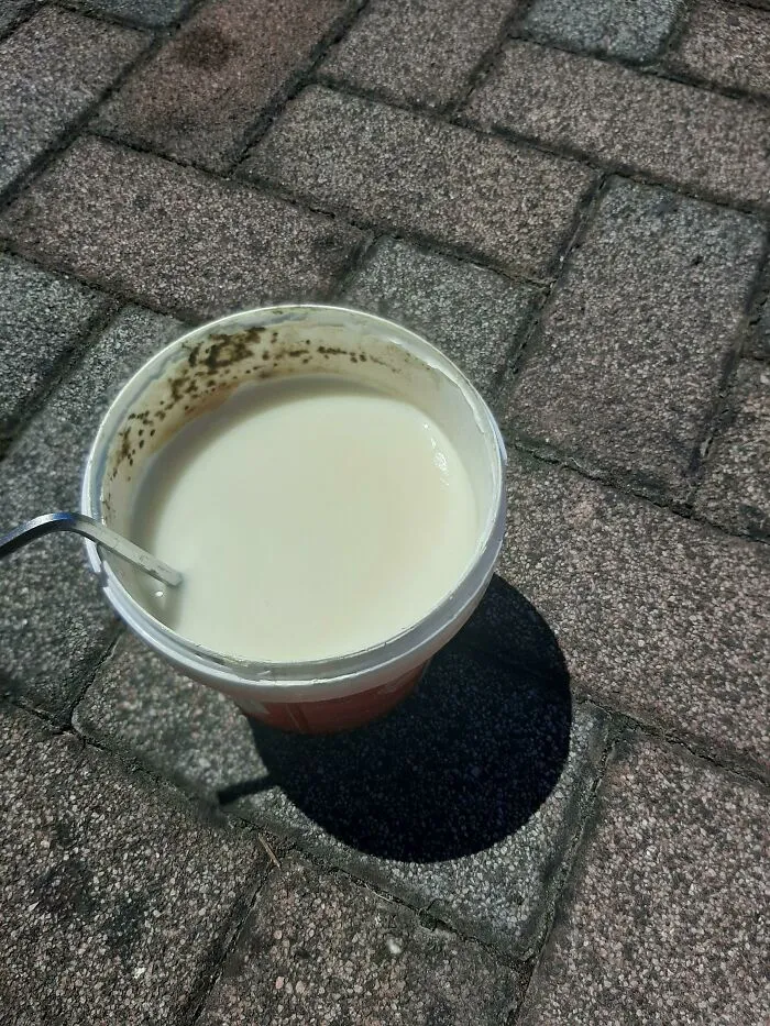 I Present To You The First Anti-Mold Paint For Walls That Managed To Make Mold In Its Original Container