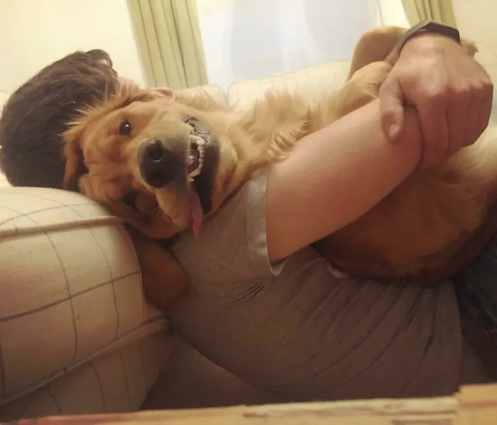 Mi prometido eligió a mi perro en lugar de a mí para un abrazo y mi perro me lo restregó en la cara
