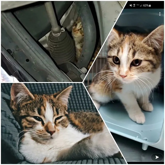 During Christmas, My Husband And I Pulled This Girl Out Of A Random Persons Car In A Parking Lot