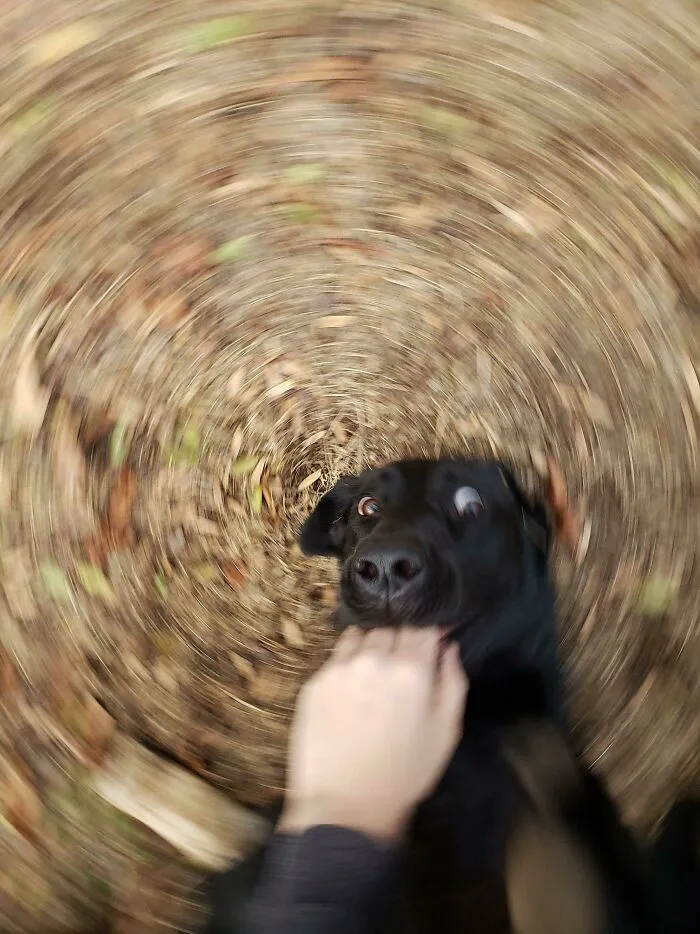 She Kicked The Phone Out Of My Hands At Exactly The Right Moment. 10/10 Good G0rl