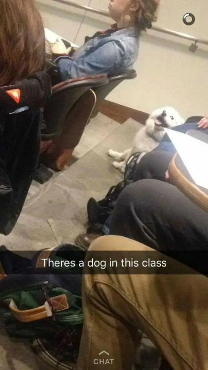 Face Is Priceless