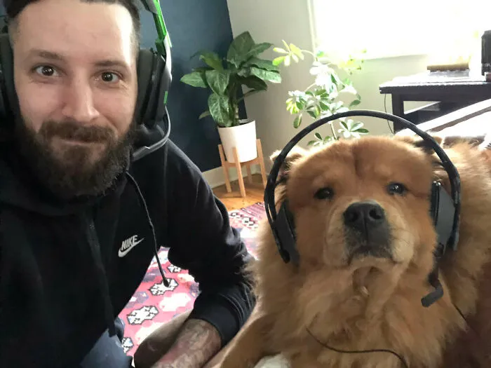 Housesitting Means I Have A Video Game Buddy This Weekend