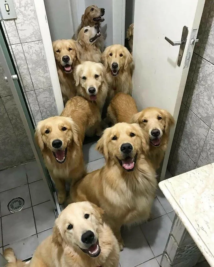 Hola, hemos oído que necesitabas ayuda aquí