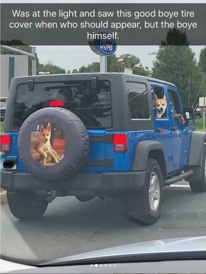 A Very Proud Boye 