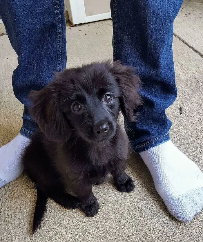 Say Hello To The Best Decision I've Ever Made In My Life