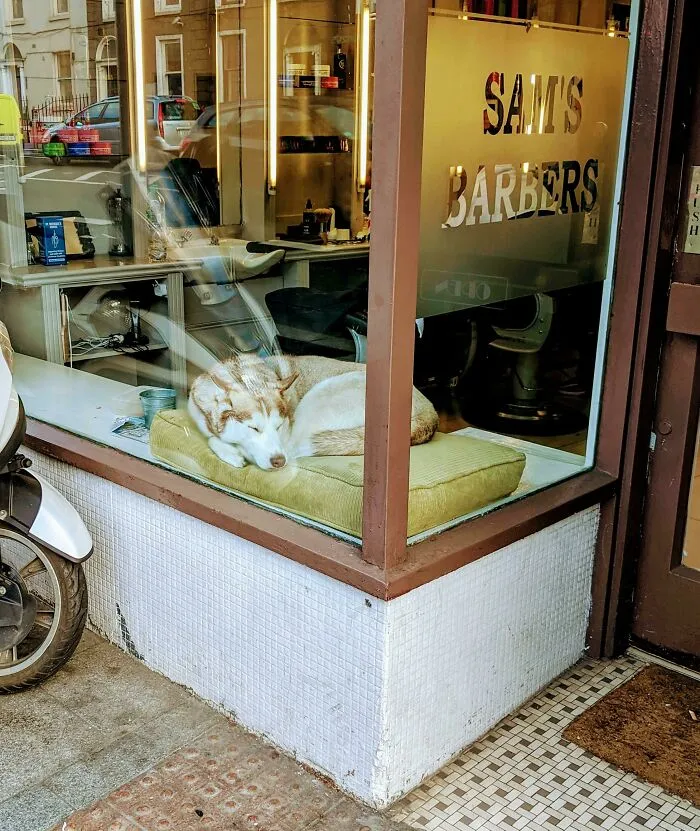 How To Get More Customers Into Your Barber Shop 101