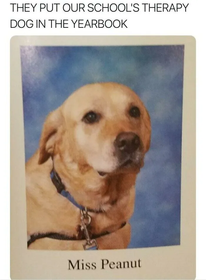 Therapy Good Girle