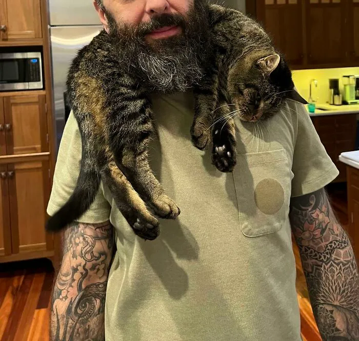 She’s A Scarf