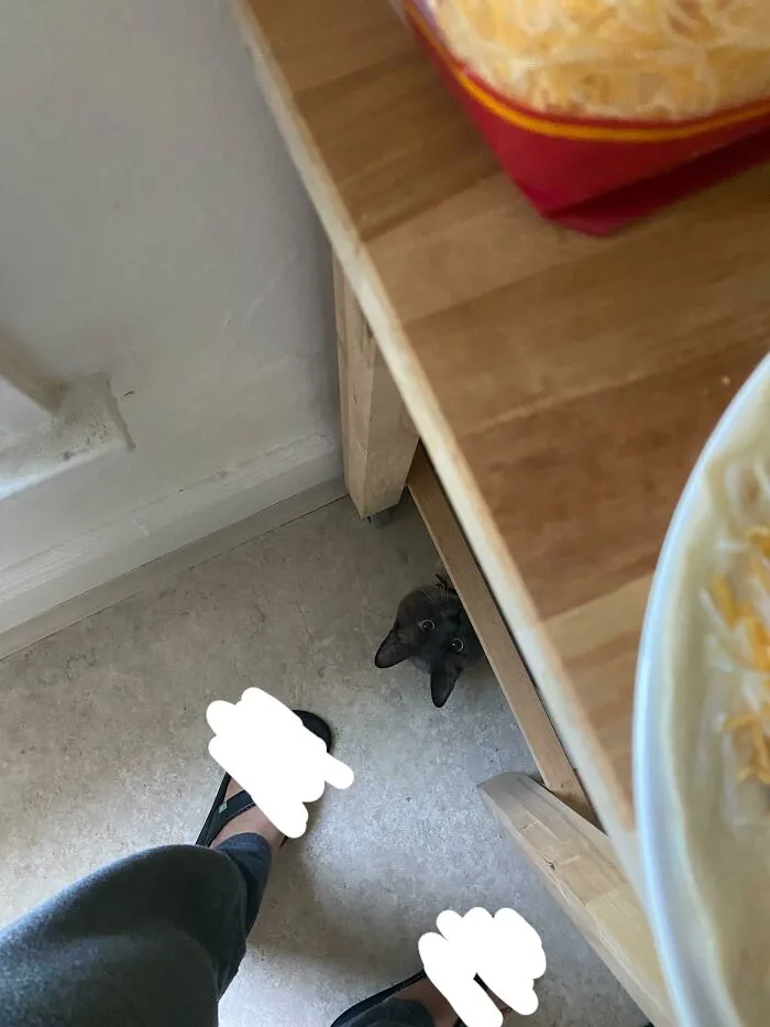 Pov When Making Food