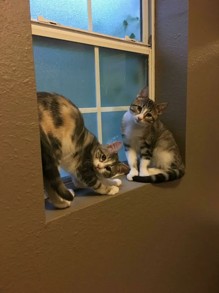 I Feel Like I Interrupted Something