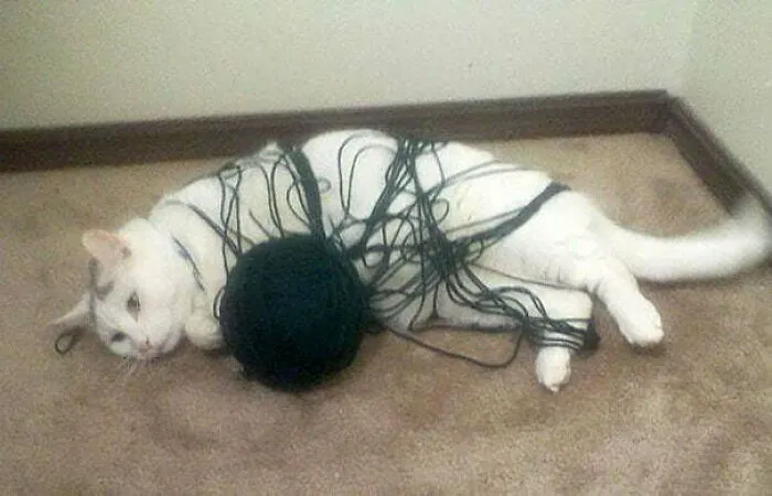 Instant Regret