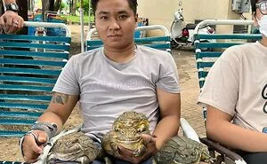 50 Times People Spotted 'Absolute Units' And Just Had To Share Pics With This Online Group (New Pics)