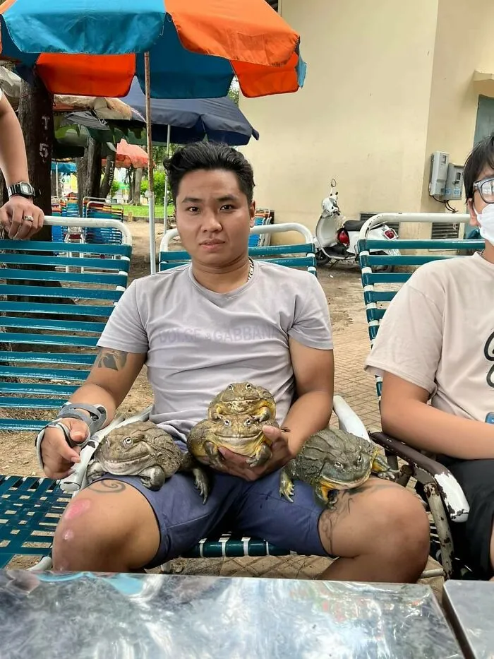 A Vietnamese Guy With His African Bullfrogs