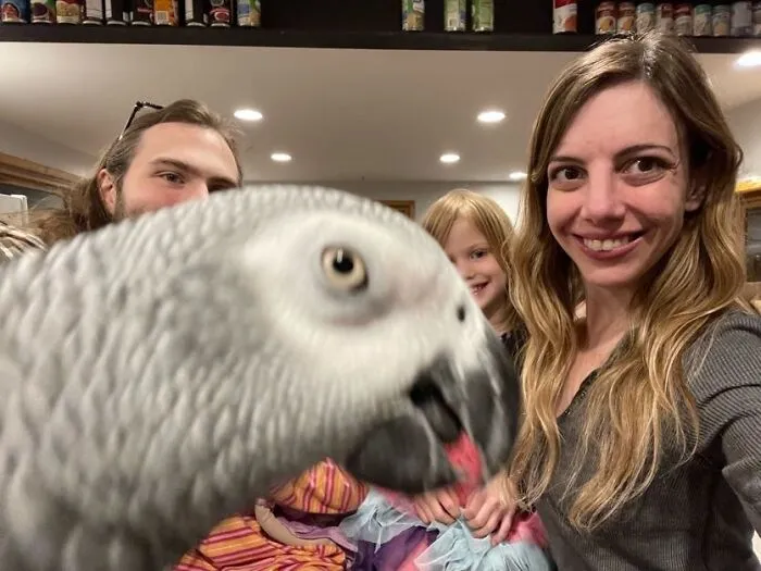 family photo with a parrot on the first plan