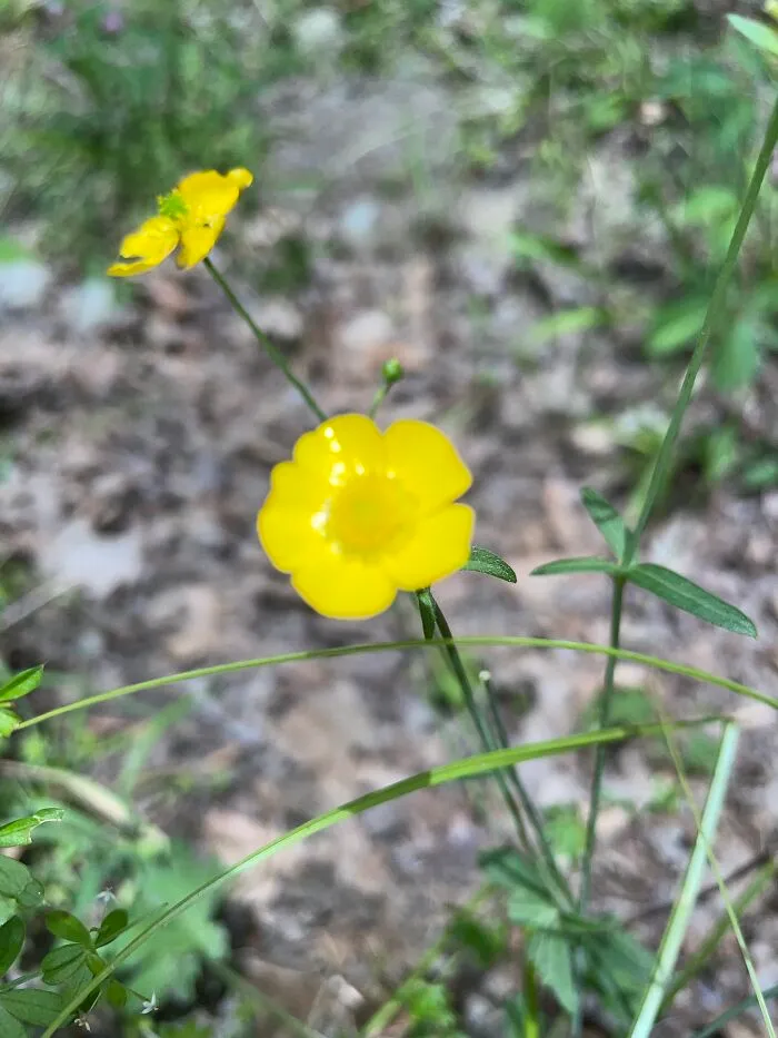 I Made A Small Collection Of My Nature Photography (18 Pics)
