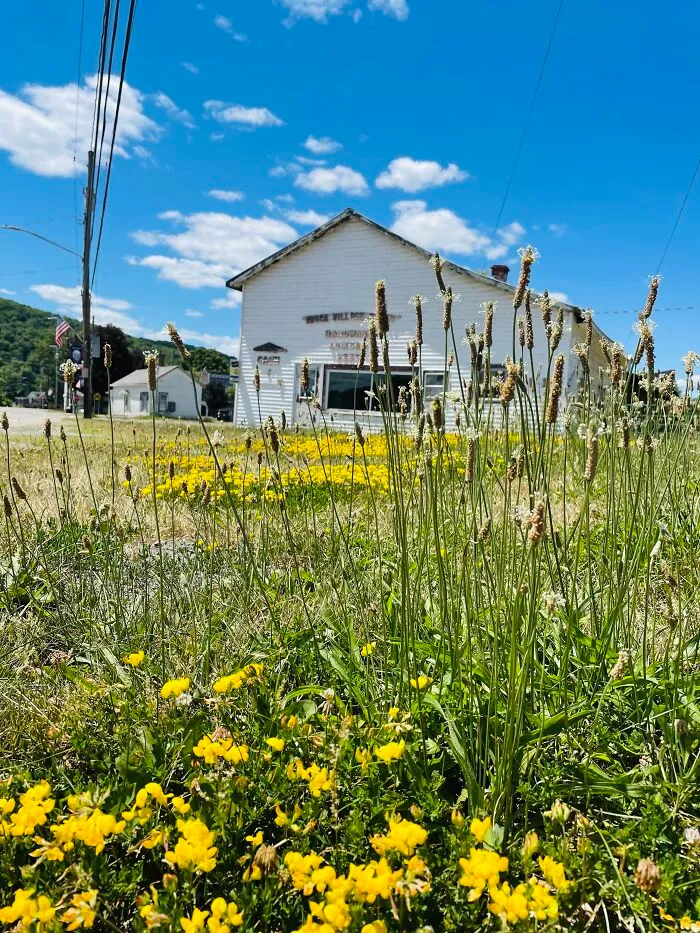 I Love Photography, Especially Urbex Photography. This Is An Abandoned Hardware Store In An Old Town Founded In The 1700s