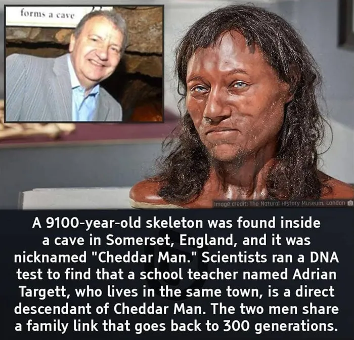 50 Random Facts That Seem Too Hard To Believe Yet Are Completely True, As Shared On This Encyclopedic Instagram Account