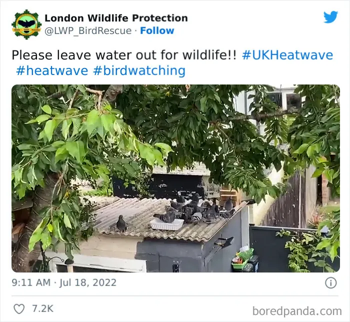Brits Are Sharing How They Are Dealing With This Record-Breaking Heatwave (40 Posts)