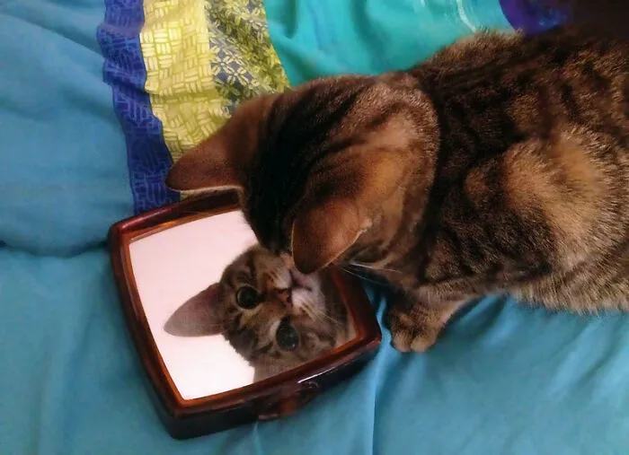 "Looks Don't Matter"