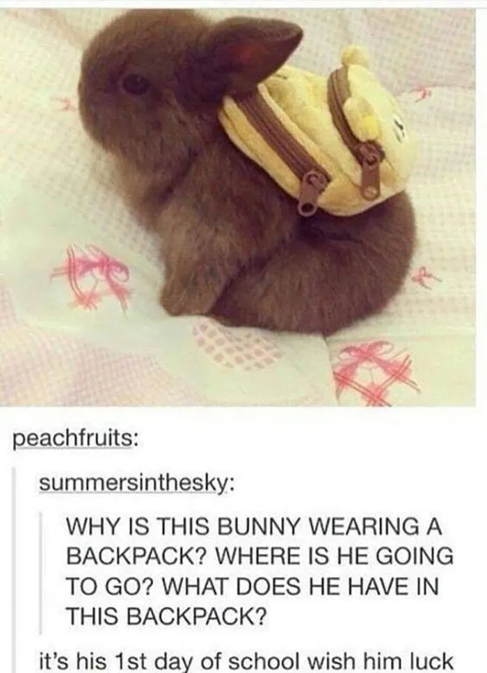 This Facebook Group Celebrates 'Cute Nopes' That Might Change Your Mind About Them (50 Pics)