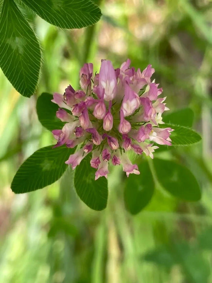 I Made A Small Collection Of My Nature Photography (18 Pics)