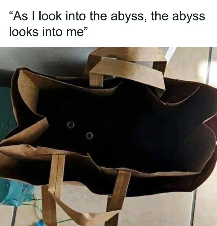 This Facebook Group Celebrates 'Cute Nopes' That Might Change Your Mind About Them (50 Pics)