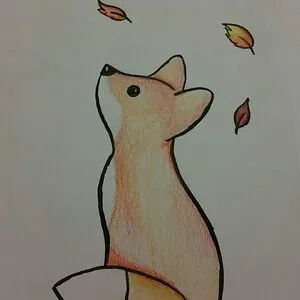 fox illusion 101