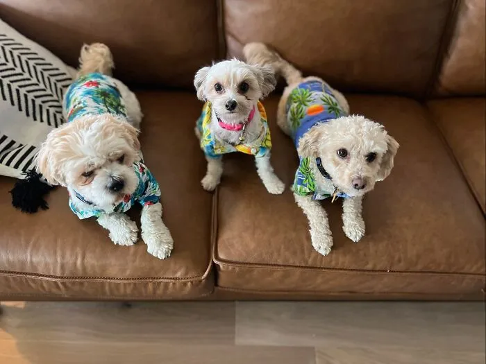 Ready For Vacation!