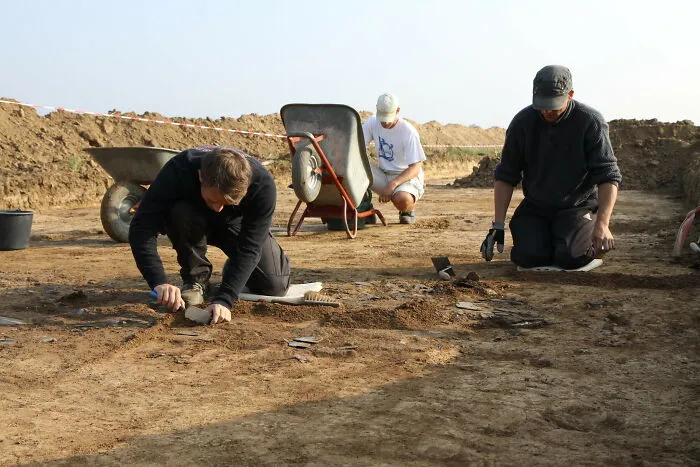 Archaeologist
