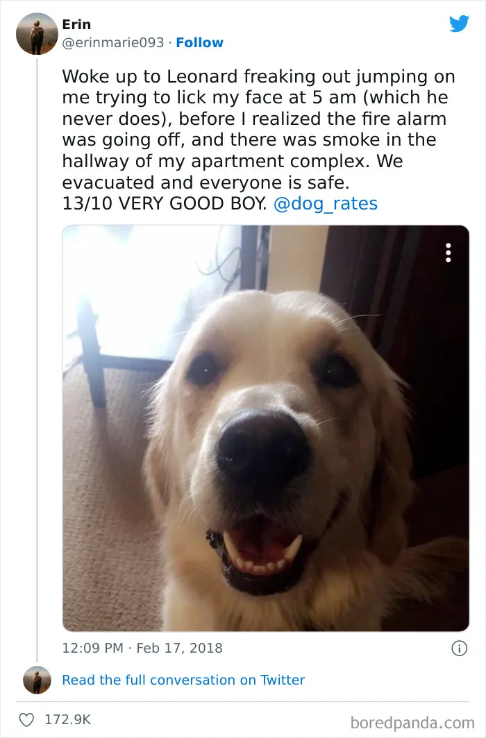 Hero Boy