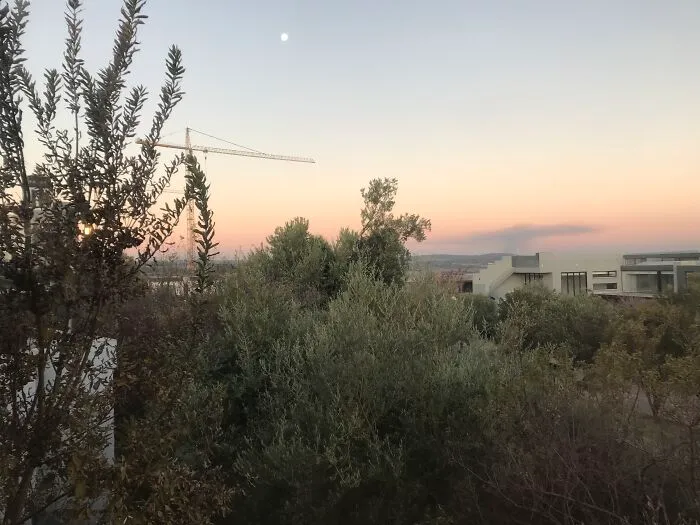 Sunrise, Sunset
