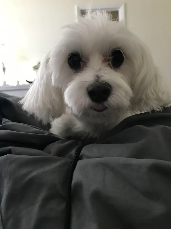 My Little Stalker. Always Checking To Make Sure I’m Ok