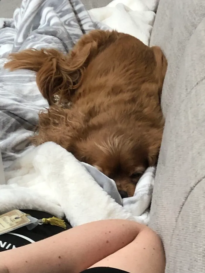 My Four Legged Pinto Bean :)