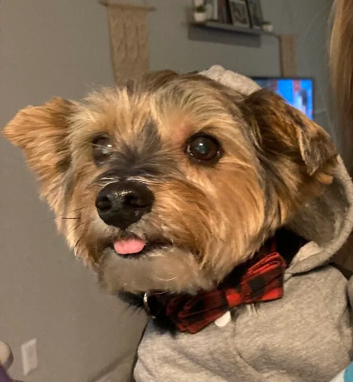 He Always Has His Tongue Out Half Way :)