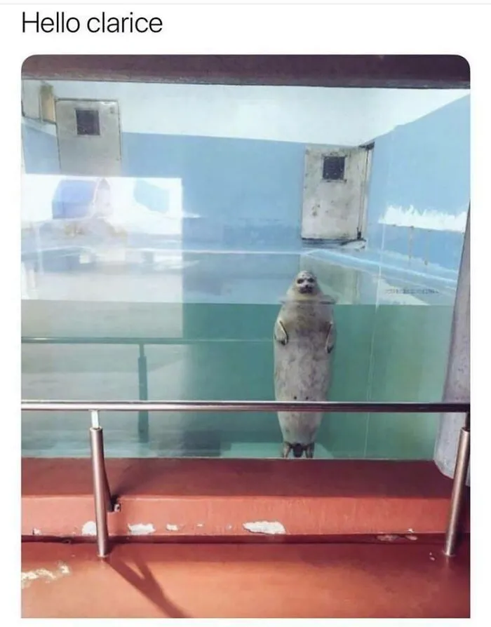 This Facebook Group Celebrates 'Cute Nopes' That Might Change Your Mind About Them (50 Pics)