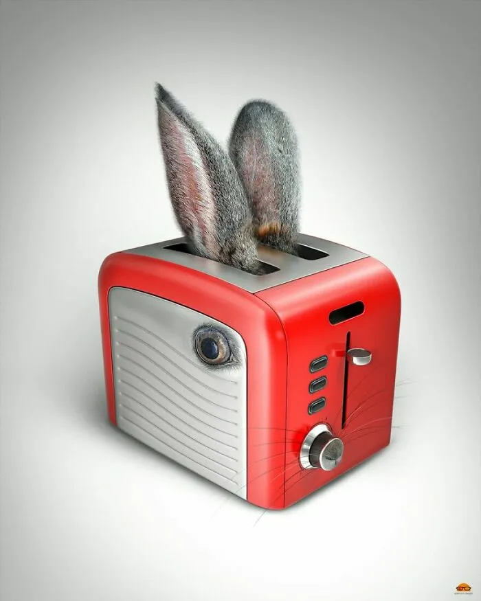 Animals Beyond Fairytale: I Make Bizarre Image Manipulations (21 Pics)