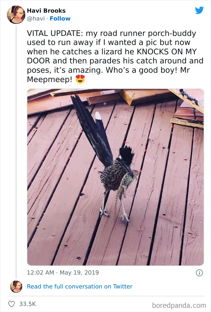 This Facebook Group Celebrates 'Cute Nopes' That Might Change Your Mind About Them (50 Pics)