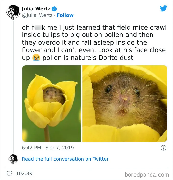 This Facebook Group Celebrates 'Cute Nopes' That Might Change Your Mind About Them (50 Pics)
