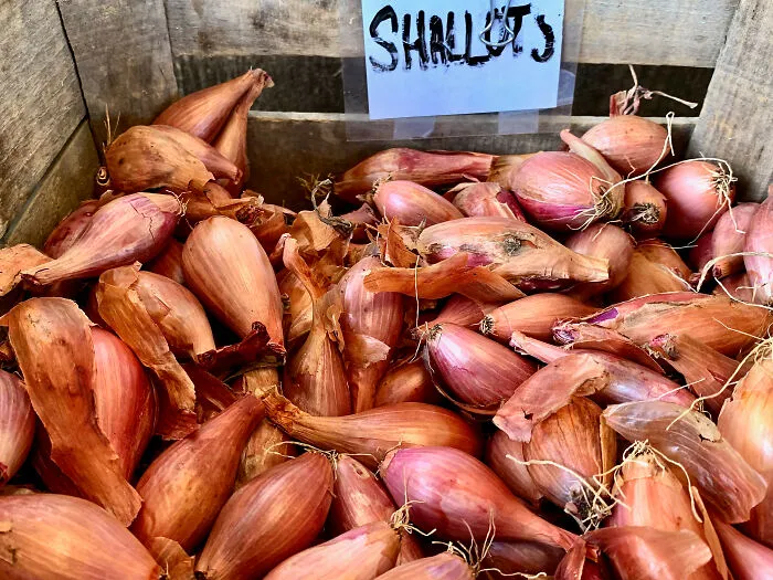 Shallots