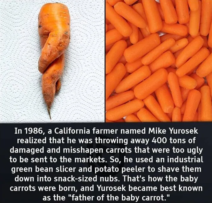 50 Random Facts That Seem Too Hard To Believe Yet Are Completely True, As Shared On This Encyclopedic Instagram Account