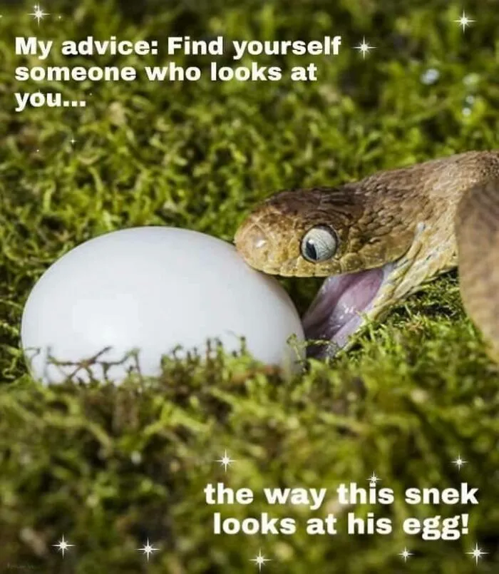 This Facebook Group Celebrates 'Cute Nopes' That Might Change Your Mind About Them (50 Pics)