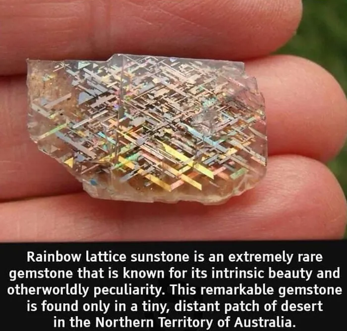 50 Random Facts That Seem Too Hard To Believe Yet Are Completely True, As Shared On This Encyclopedic Instagram Account